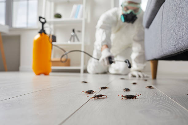 Commercial Kitchen Cockroach Control in Savage